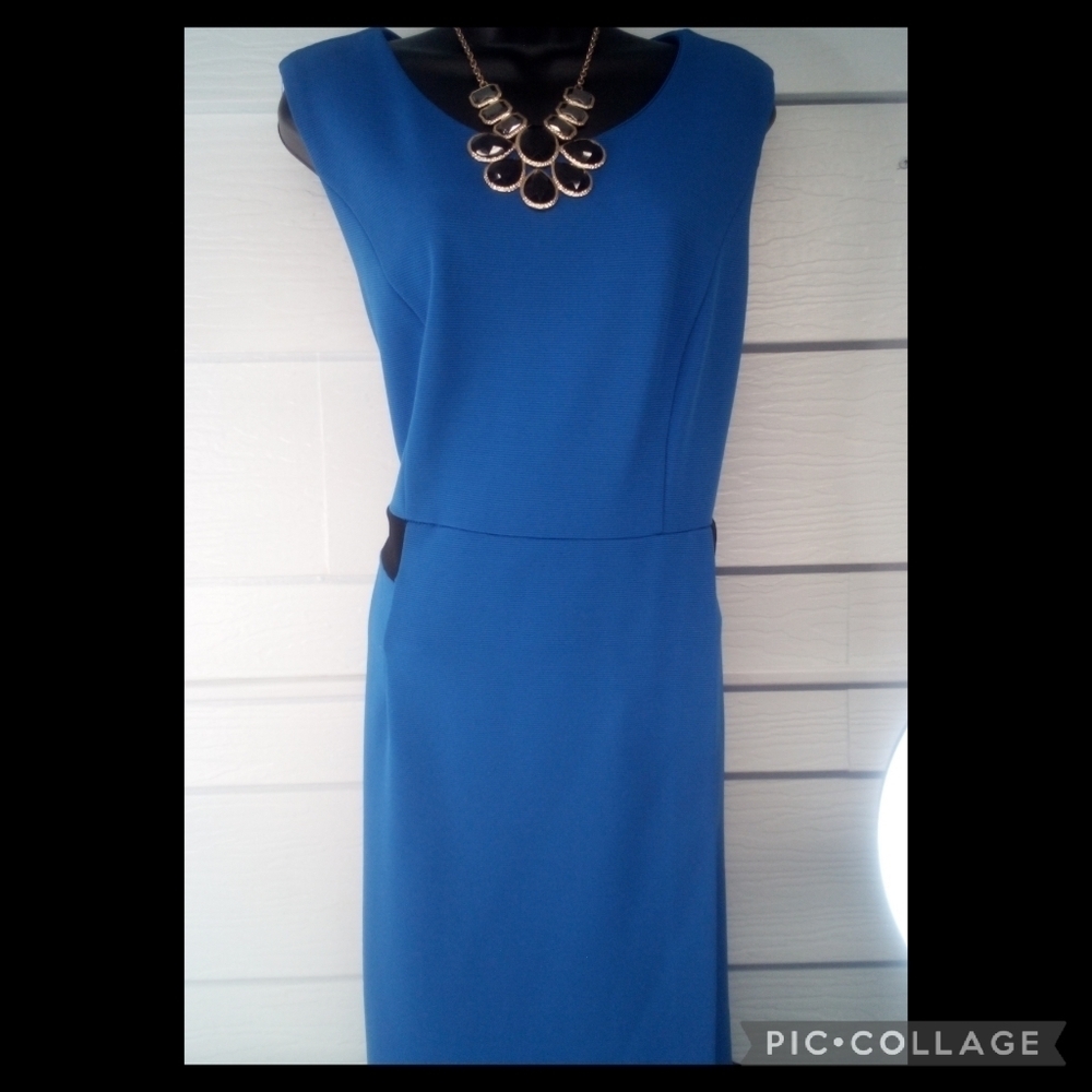Signature Collection Royal Blue Dress.20